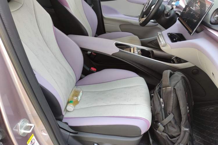 Used BYD Dolphin 2025 520km Range Knight Edition Right Front Seat