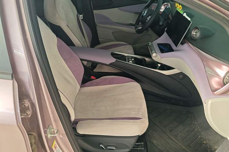 Used BYD Dolphin 2025 420km Fashion Edition Right Front Seat