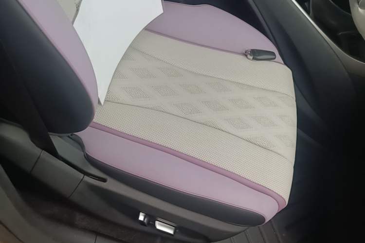 Used BYD Dolphin 2025 420km Fashion Edition Right Front Seat