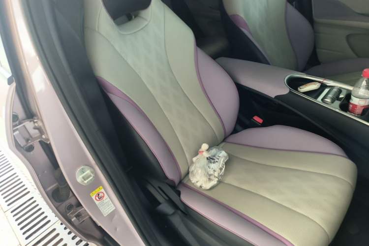 Used BYD Dolphin 2025 420km Free Edition Right Front Seat