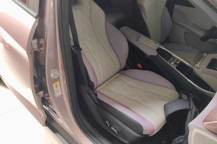 Used BYD Dolphin 2025 420km Fashion Edition Right Front Seat
