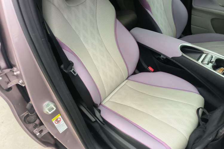 Used BYD Dolphin 2025 420km Free Edition Right Front Seat