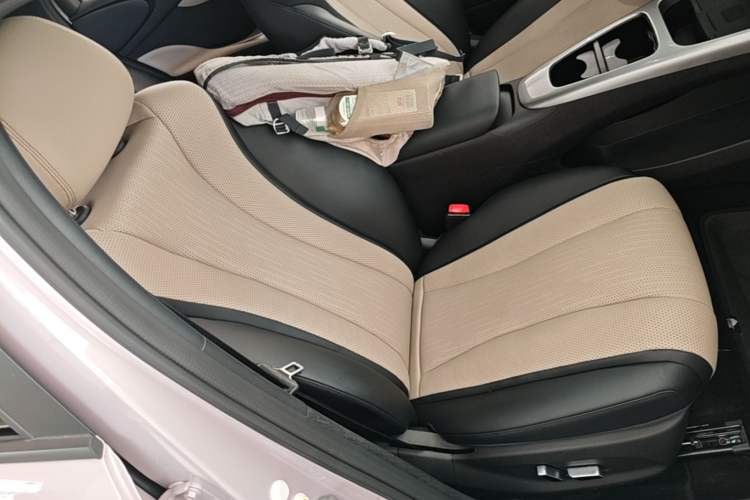 Used BYD Dolphin 2025 Intelligent Driving Version 410 km Fashion Edition Right Front Seat