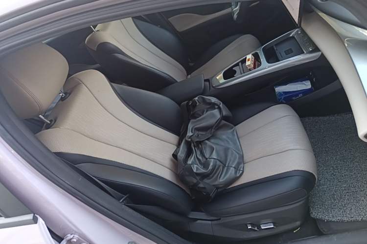 Used BYD Dolphin 2025 Intelligent Driving Version 410 km Fashion Edition Right Front Seat