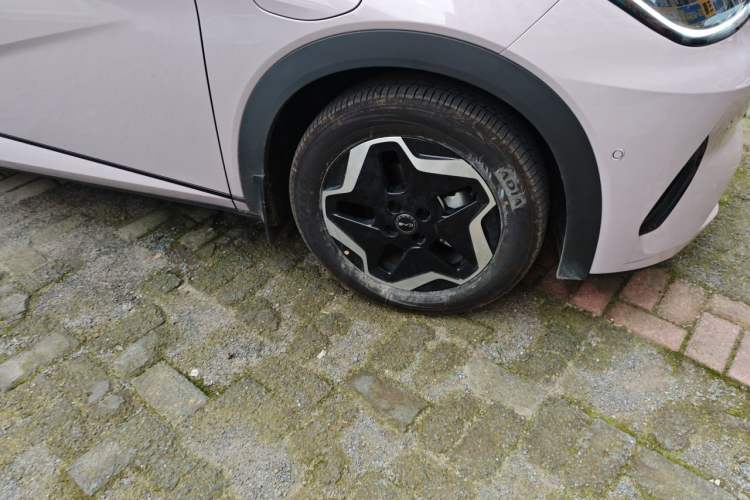 Used BYD Dolphin 2025 Smart Drive Version 420 km Freedom Edition Right Front Wheel Hub