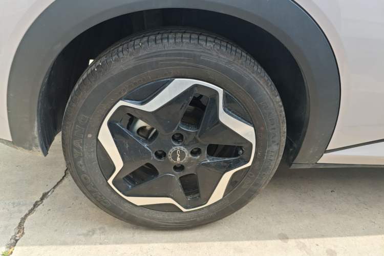 Used BYD Dolphin 2025 Smart Drive Version 420 km Freedom Edition Right Rear Wheel Hub