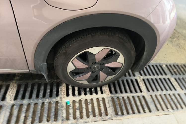 Used BYD Dolphin 2025 420km Free Edition Right Rear Wheel Hub