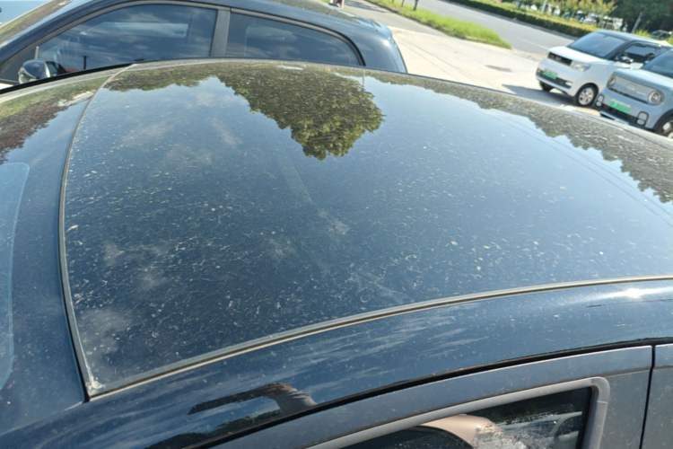 Used BYD Dolphin 2025 420km Fashion Edition Roof