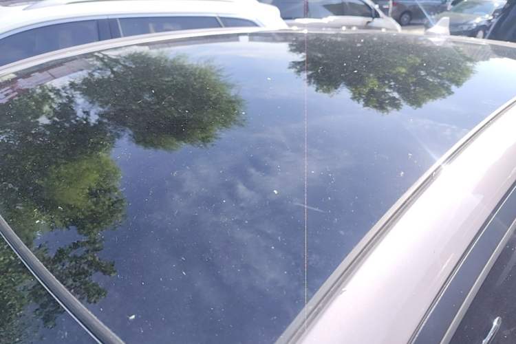 Used BYD Dolphin 2025 Intelligent Driving Version 410 km Fashion Edition Roof