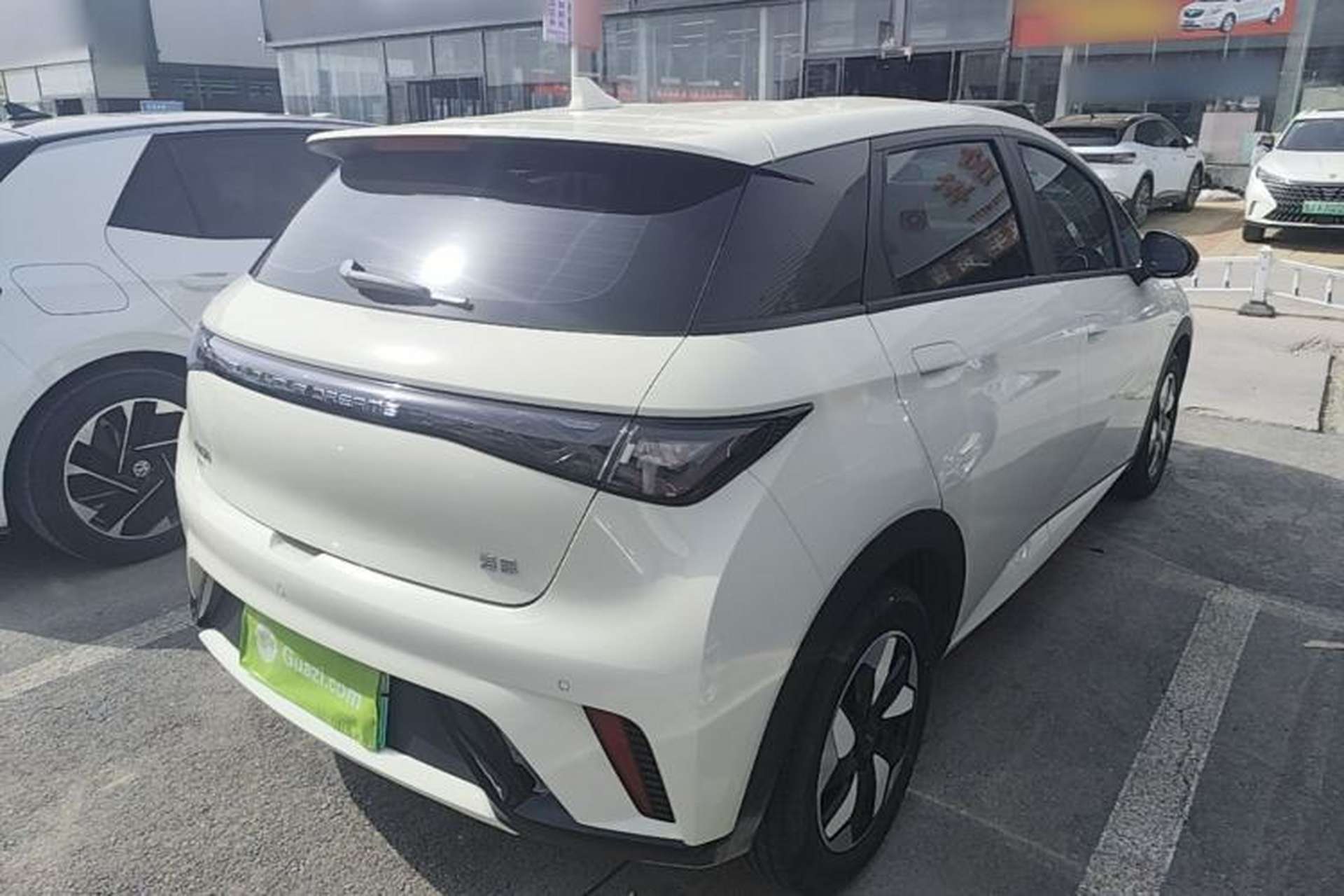 Used BYD Dolphin 2025 420km Free Edition Rear Right 45 Deg
