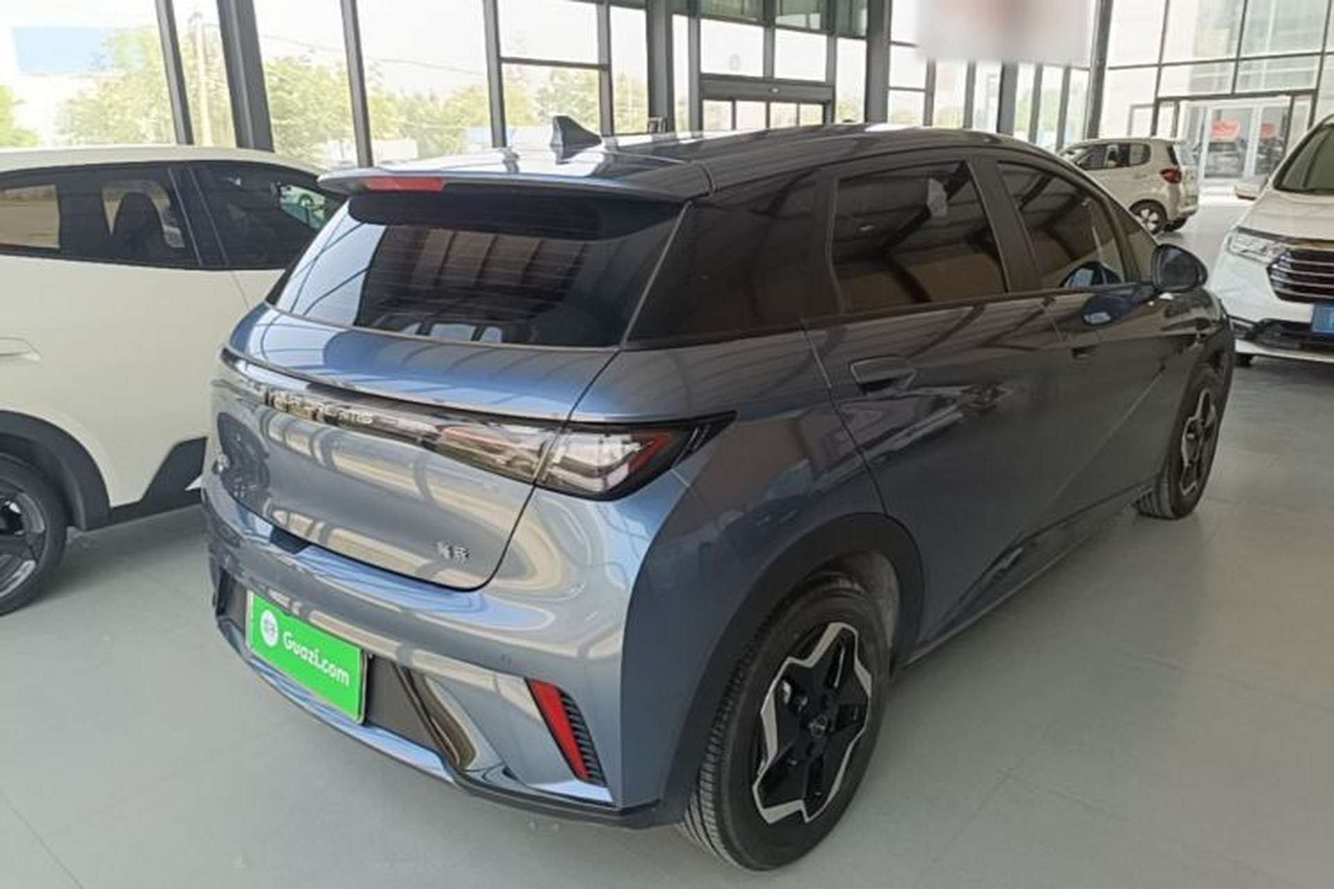 Used BYD Dolphin 2025 420km Active Version Rear Right 45 Deg
