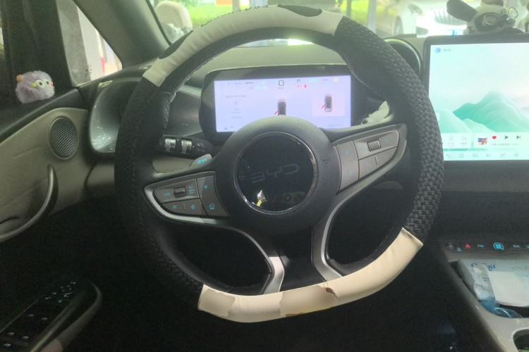 Used BYD Dolphin 2025 Smart Drive Version 420 km Freedom Edition Steering Wheel