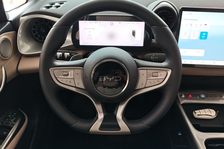 Used BYD Dolphin 2025 Smart Drive Version 420 km Freedom Edition Steering Wheel