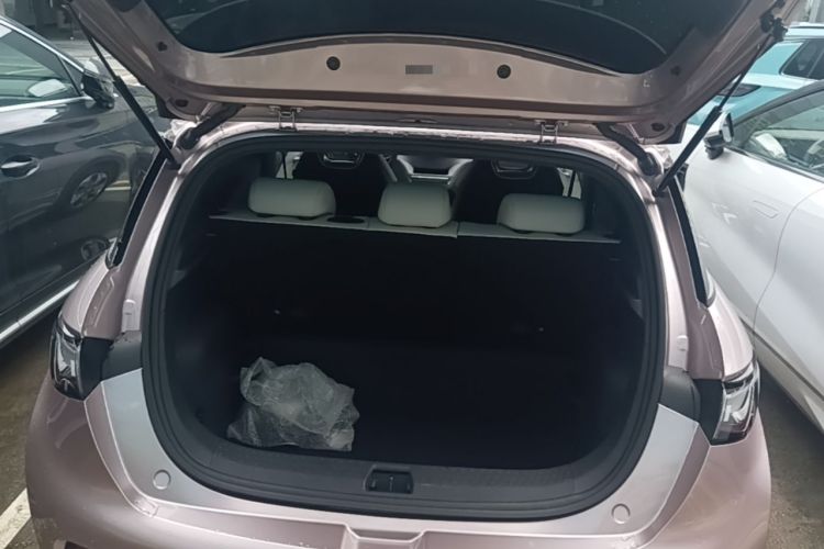 Used BYD Dolphin 2025 420km Fashion Edition Trunk