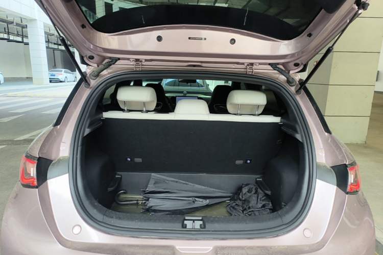 Used BYD Dolphin 2025 420km Free Edition Trunk