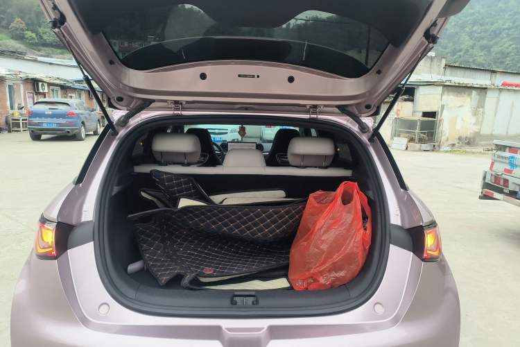 Used BYD Dolphin 2025 420km Free Edition Trunk