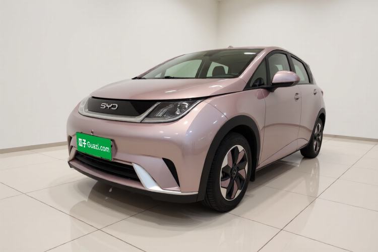 BYD Dolphin 2025 420km Free Edition