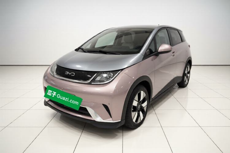BYD Dolphin 2025 520km Range Knight Edition