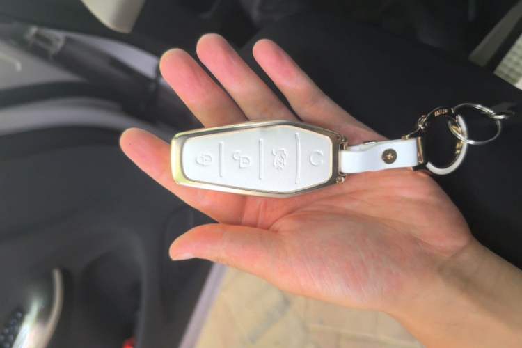 Used BYD Dolphin 2025 Smart Drive Version 420 km Freedom Edition Vehicle Key