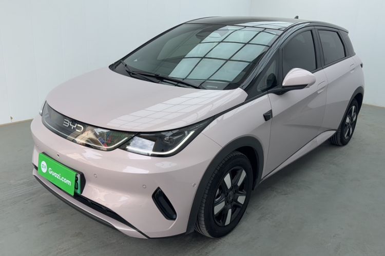 BYD Dolphin 2025 Intelligent Driving Version 410 km Fashion Edition