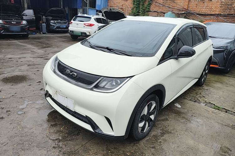 BYD Dolphin 2025 420km Free Edition