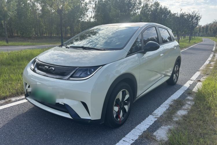 BYD Dolphin 2025 420km Free Edition
