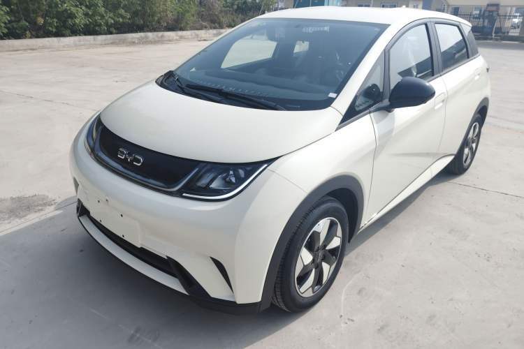 Used BYD Dolphin 2025 420km Free Edition Guazi used car, China used car export, Used car for sale, Used  cars, Cheapest cars for sale