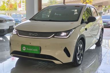 Used BYD Dolphin 2025 Smart Drive Version 420 km Freedom Edition