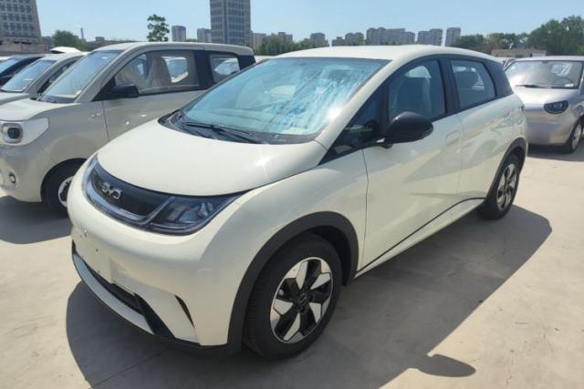 Used BYD Dolphin 2025 420km Free Edition