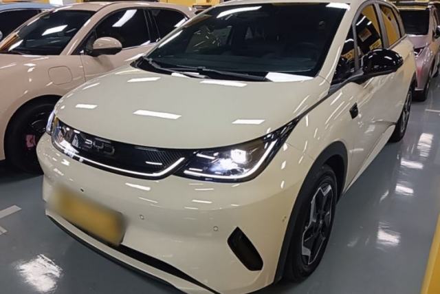Used BYD Dolphin 2025 Smart Drive Version 420 km Freedom Edition