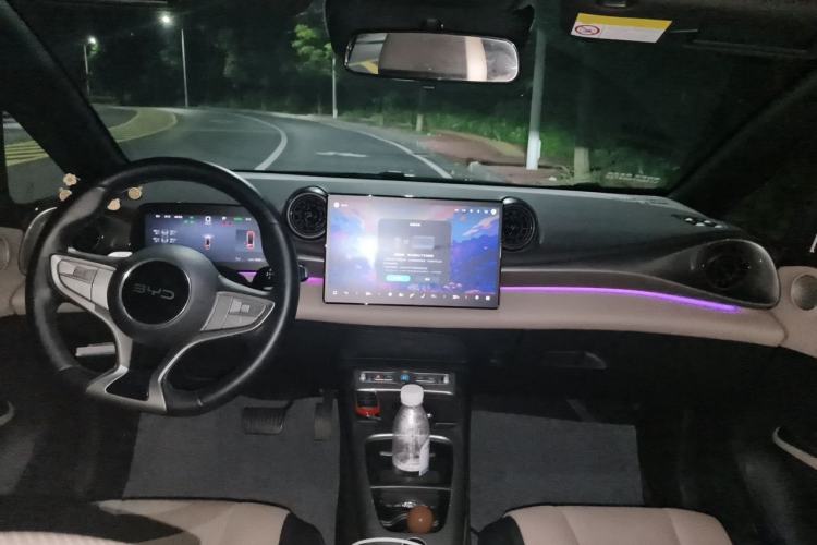 Used BYD Dolphin 2025 Intelligent Driving Version 520km Range Knight Edition Center Console