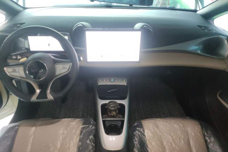 Used BYD Dolphin 2025 Smart Drive Version 420 km Freedom Edition Center Console
