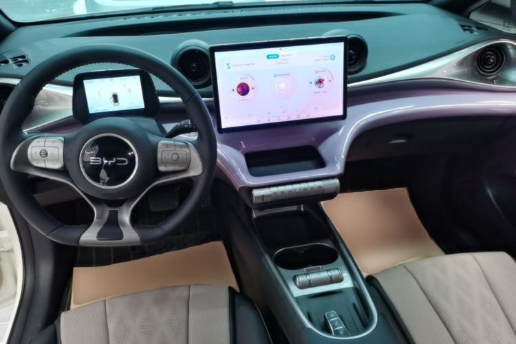Used BYD Dolphin 2025 420km Fashion Edition Center Console
