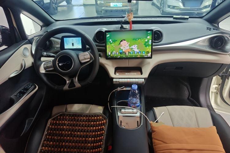 Used BYD Dolphin 2025 420km Fashion Edition Center Console