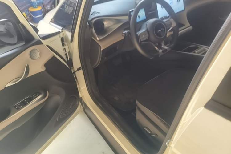Used BYD Dolphin 2025 420km Free Edition Driver Seat