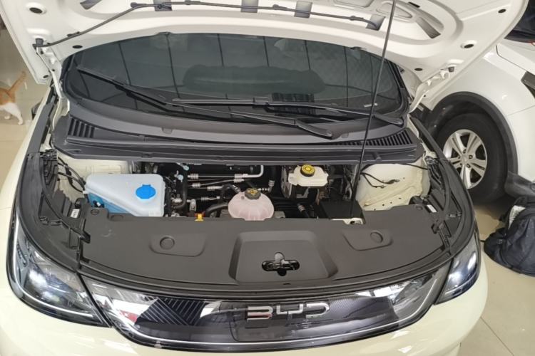 Used BYD Dolphin 2025 Smart Drive Version 420 km Freedom Edition Engine Bay