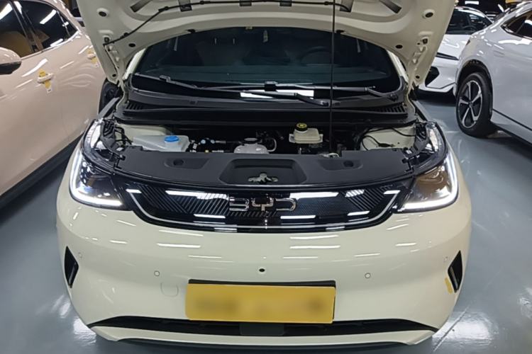 Used BYD Dolphin 2025 Smart Drive Version 420 km Freedom Edition Engine Bay