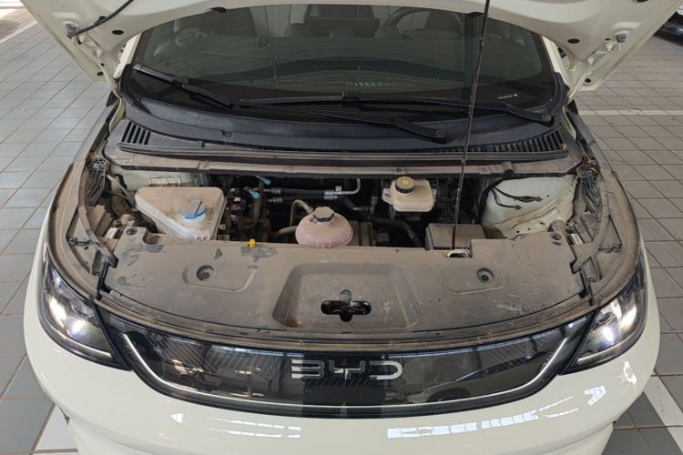 Used BYD Dolphin 2025 Intelligent Driving Version 410 km Fashion Edition Engine Bay