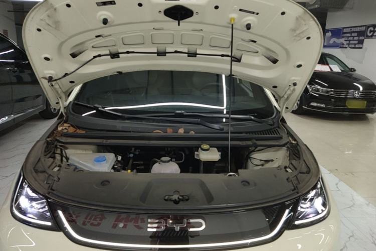 Used BYD Dolphin 2025 Smart Drive Version 420 km Freedom Edition Engine Bay