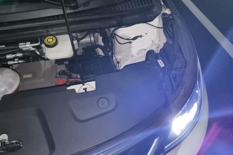 Used BYD Dolphin 2025 Intelligent Driving Version 520km Range Knight Edition Engine Bay Left