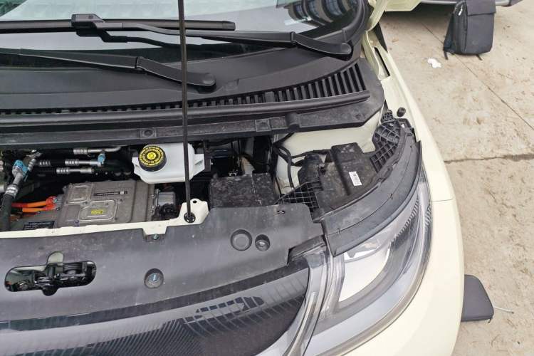 Used BYD Dolphin 2025 420km Free Edition Engine Bay Left