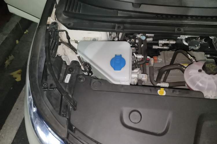 Used BYD Dolphin 2025 Intelligent Driving Version 520km Range Knight Edition Engine Bay Right