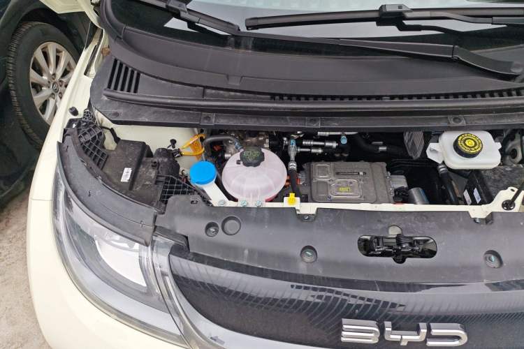 Used BYD Dolphin 2025 420km Free Edition Engine Bay Right