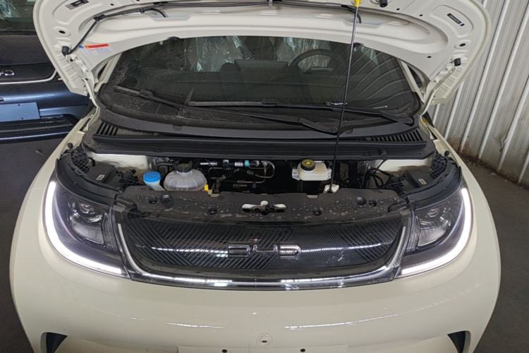 Used BYD Dolphin 2025 420km Free Edition Engine Bay