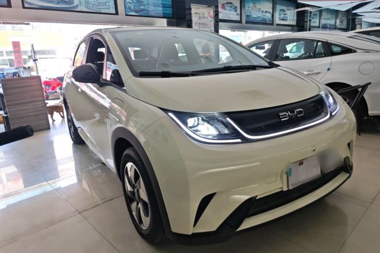 Used BYD Dolphin 2025 420km Free Edition Exterior 1