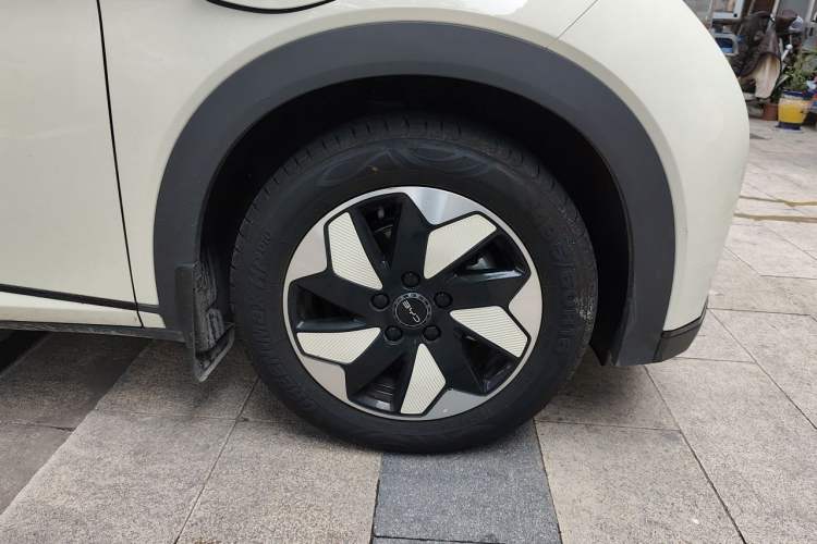 Used BYD Dolphin 2025 420km Free Edition Exterior 1