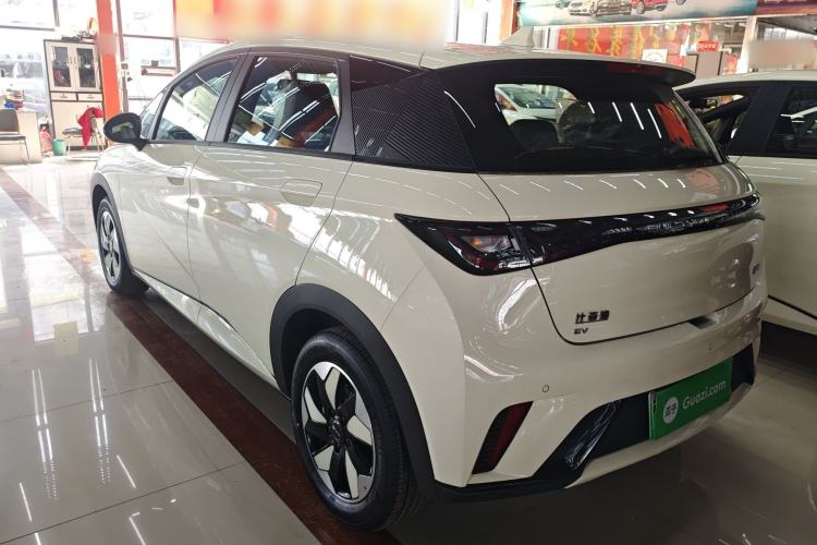 Used BYD Dolphin 2025 420km Free Edition Exterior 2