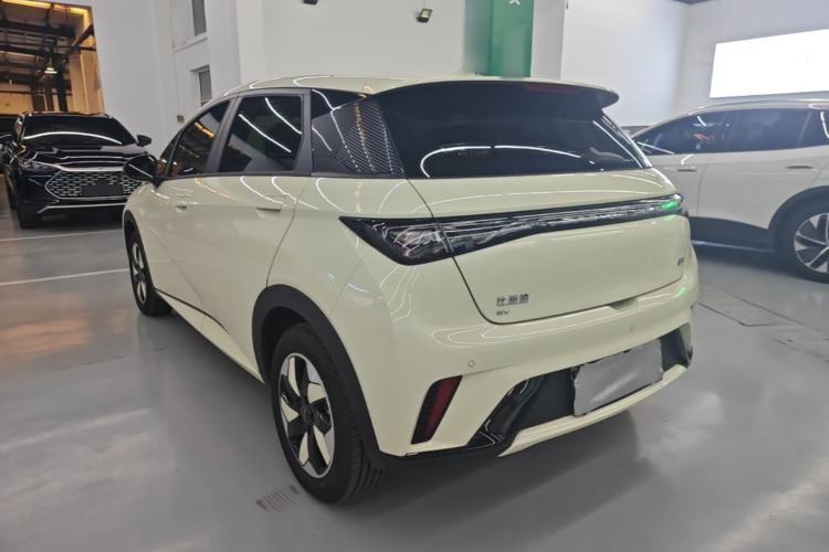 Used BYD Dolphin 2025 420km Free Edition Exterior 2