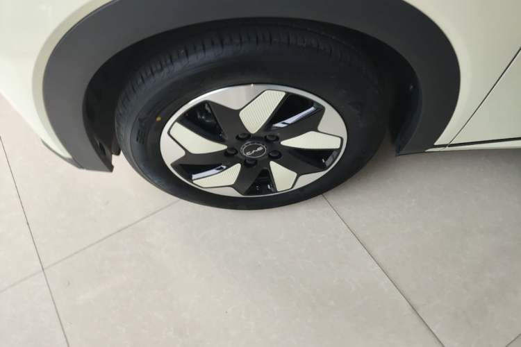 Used BYD Dolphin 2025 420km Free Edition Exterior 4