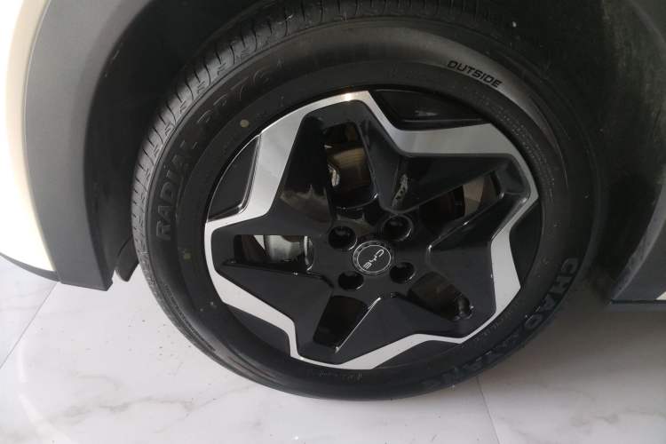 Used BYD Dolphin 2025 Smart Drive Version 420 km Freedom Edition Exterior 4